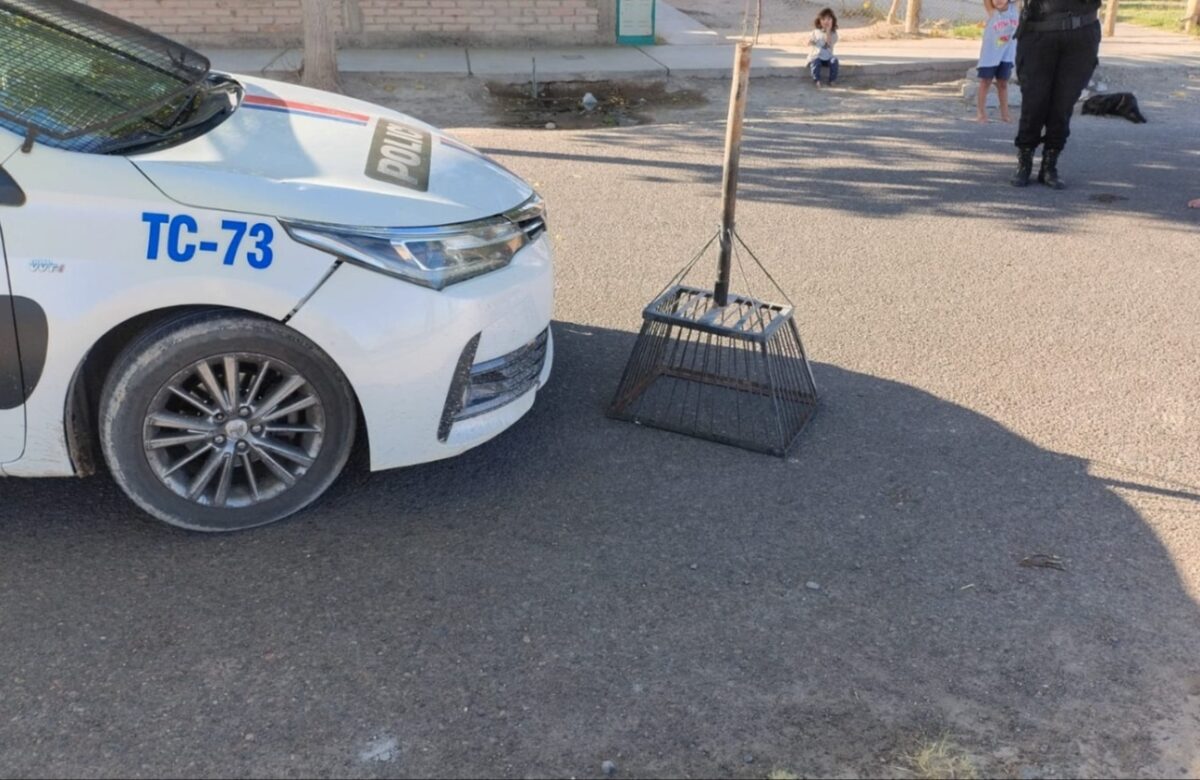 JOVEN LADRÓN SORPRENDIDO CON UN CESTO DE BASURA