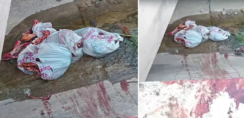 DENUNCIAN QUE EN UN CANAL DE RIEGO DE RIVADAVIA ARROJAN RESTOS DE ANIMALES FAENADOS