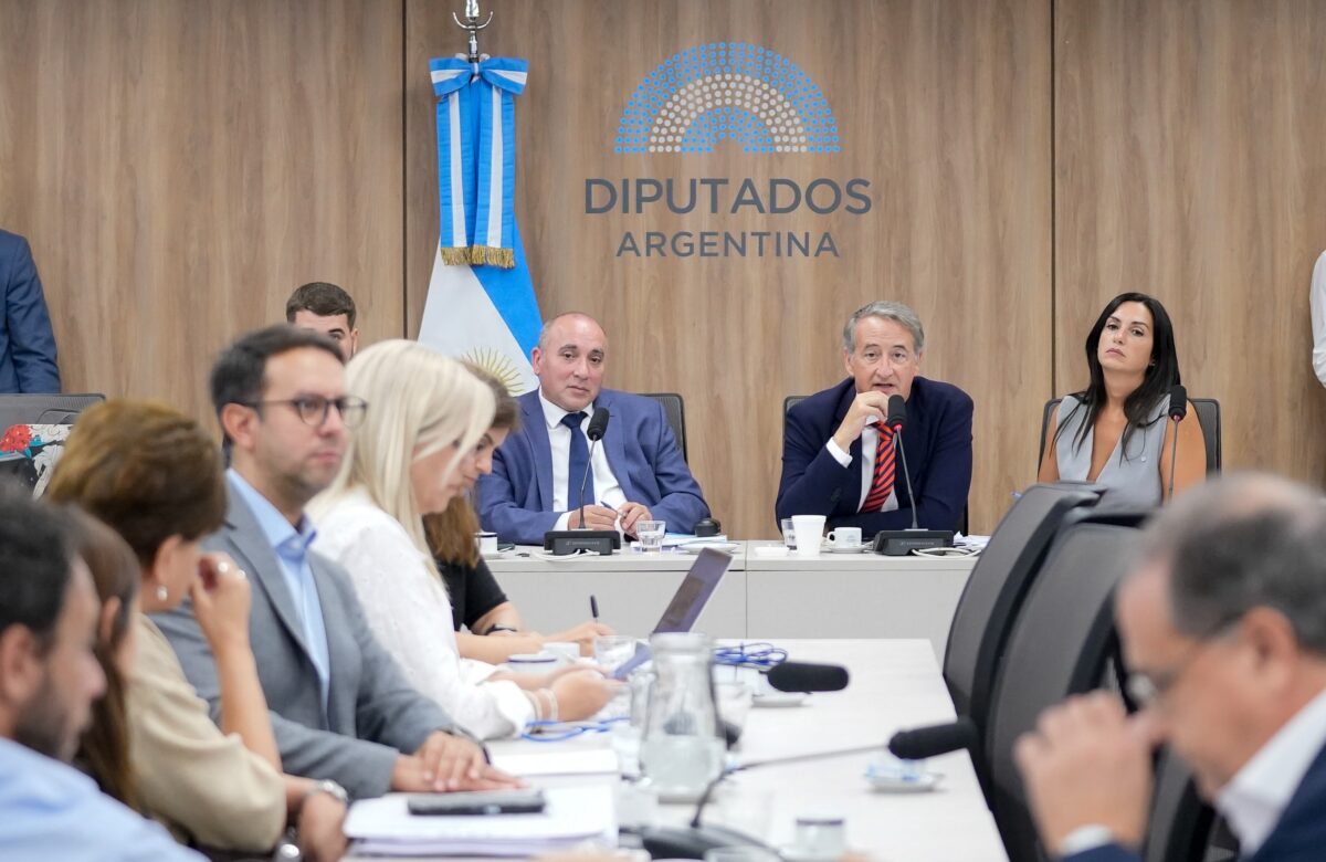 POSTERGAN AL MENOS UN MES EL TRATAMIENTO DE LA LEY DE GLACIARES