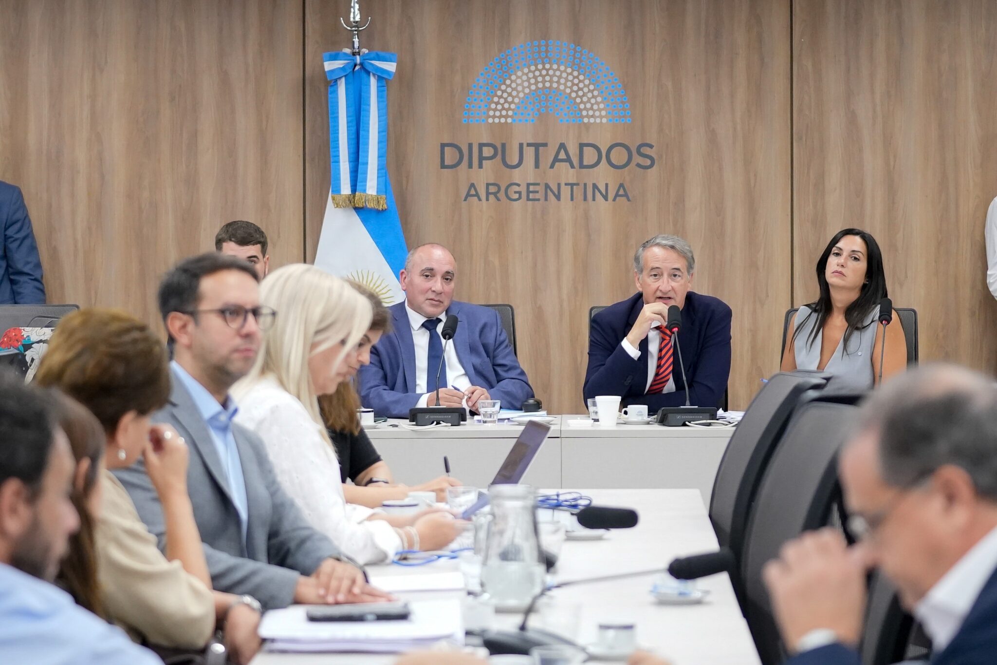POSTERGAN AL MENOS UN MES EL TRATAMIENTO DE LA LEY DE GLACIARES