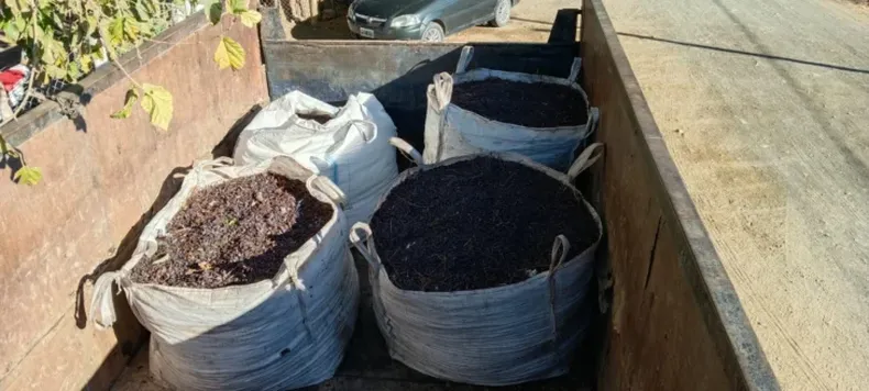 EN TRES DÍAS SE ROBARON CERCA DE 3.000 KILOS DE PASAS EN CAUCETE Y 25 DE MAYO