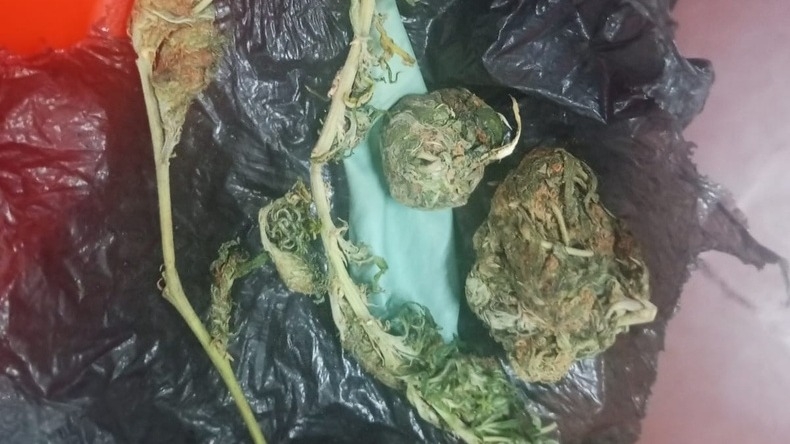DETIENEN A DOS MENORES DE EDAD CON DROGA
