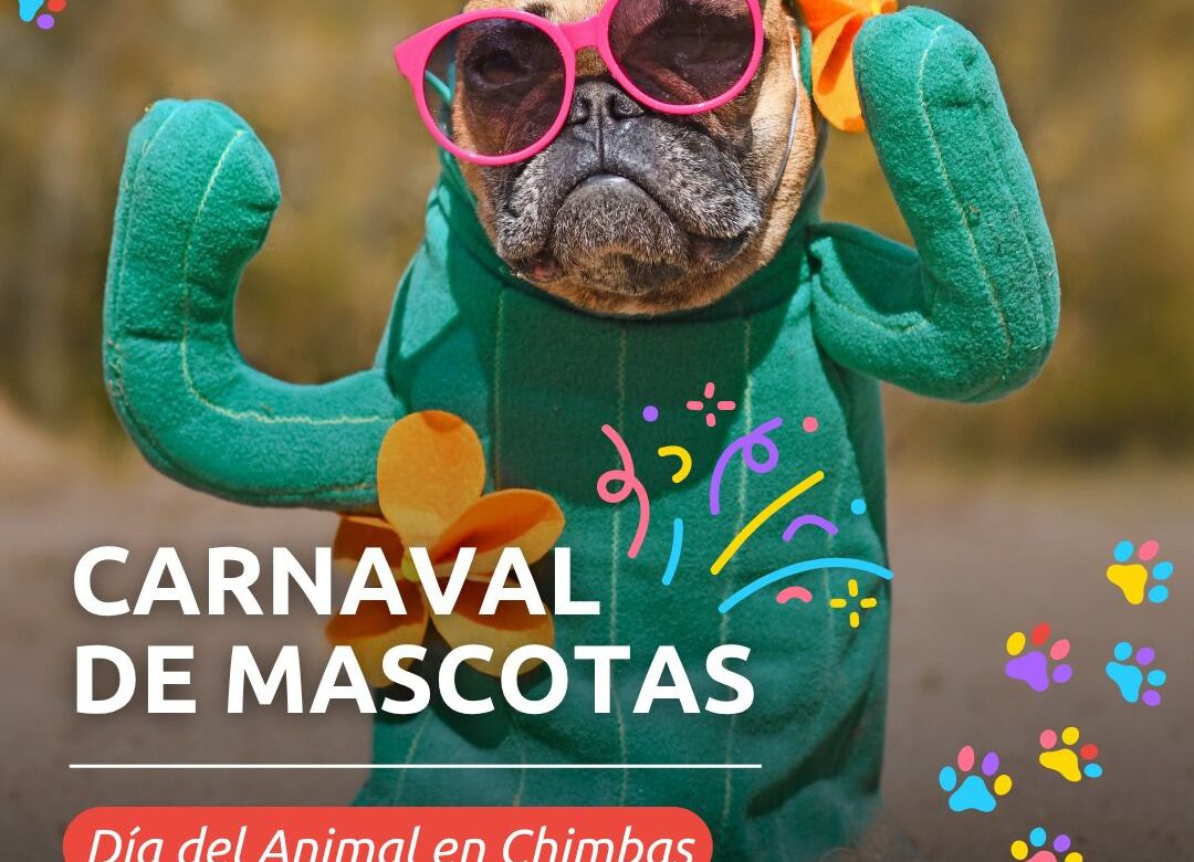 CHIMBAS CELEBRA CON EL CARNAVAL DE MASCOTAS