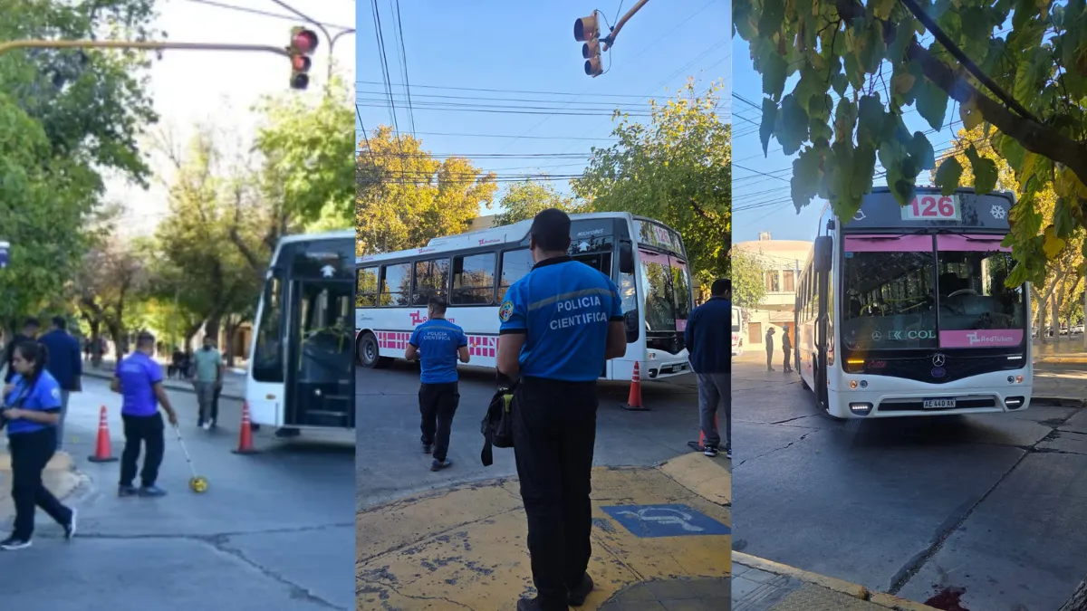 MUJER ATROPELLADA POR UN COLECTIVO SE ENCUENTRA EN GRAVE ESTADO