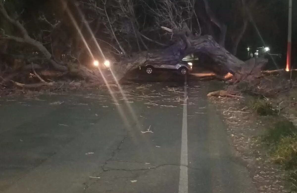 EL ZONDA DEJÓ DESTROZOS EN VARIOS DEPARTAMENTOS