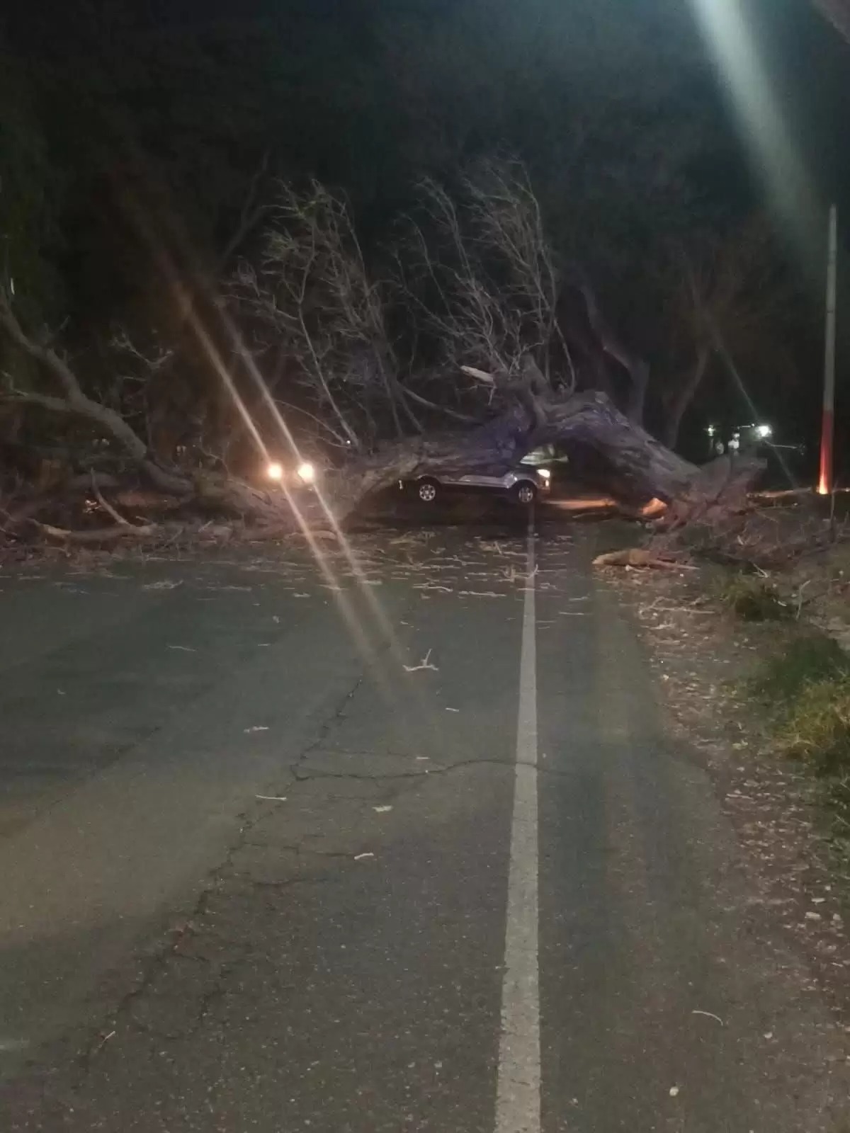 EL ZONDA DEJÓ DESTROZOS EN VARIOS DEPARTAMENTOS