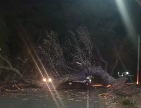 MÁS DE 1.600 USUARIOS SIGUEN SIN LUZ TRAS EL VIENTO