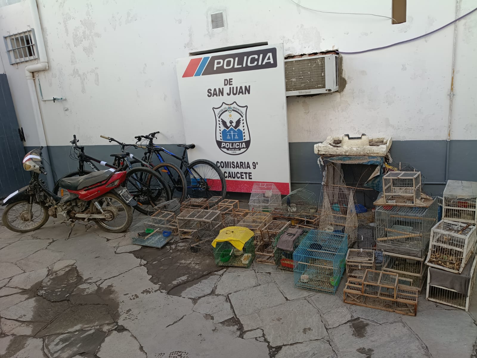 CINCO DETENIDOS EN CAUCETE POR TRÁFICO Y CAPTURA ILEGAL DE FAUNA SILVESTRE