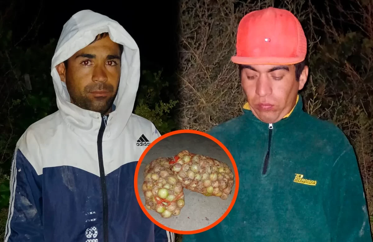 ATRAPADOS CUANDO ROBABAN BOLSAS DE CEBOLLA EN UN FINCA DE CAUCETE