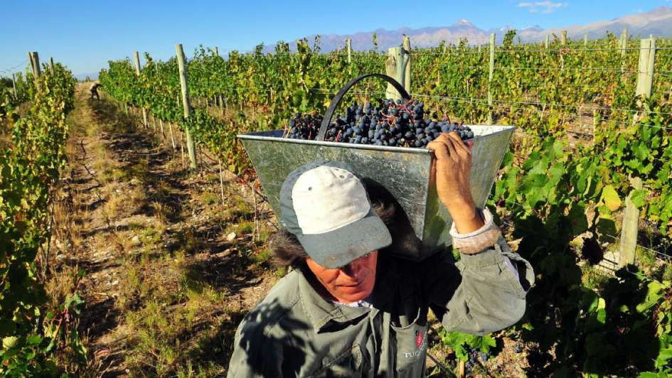 San Juan lanzó nuevas líneas de crédito para el agro en Punto Pyme