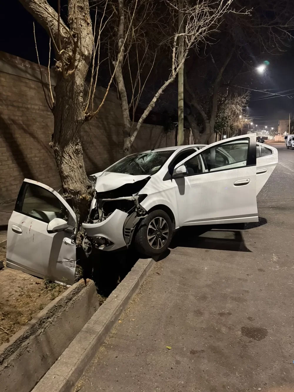 Tragedia en Capital: un hombre murió tras impactar contra una camioneta y un árbol