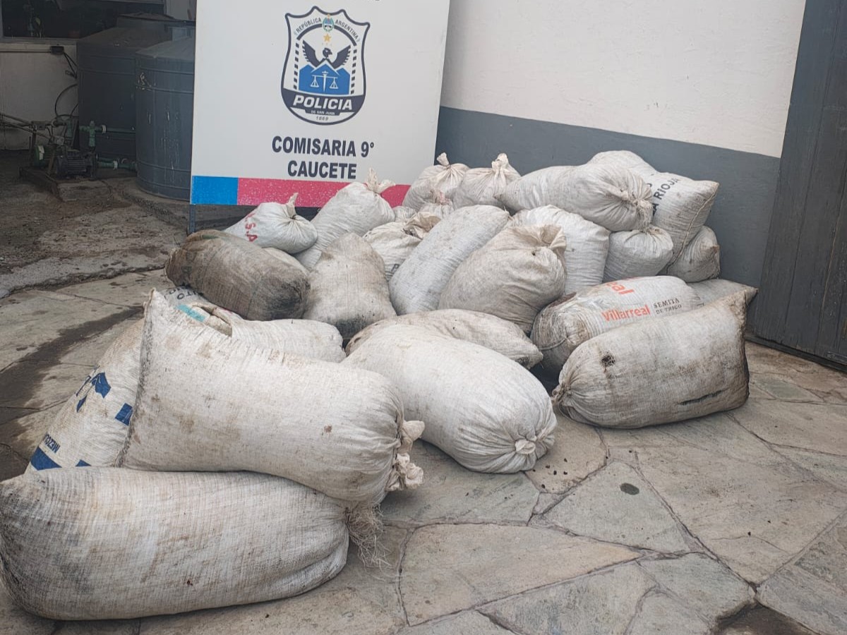 Secuestran más de 2.000 kilos de pasas y marihuana en Caucete