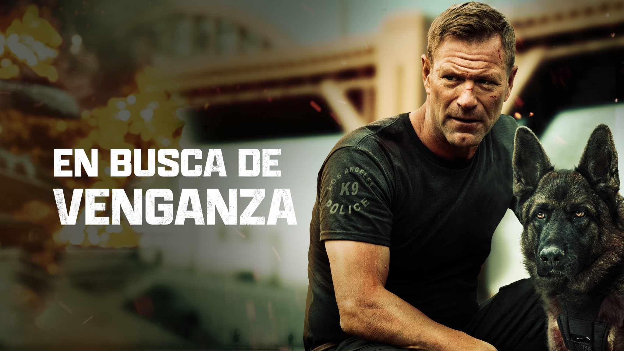 Películas para no perderse