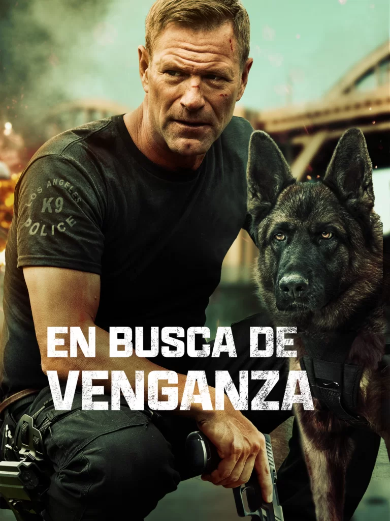 Venganza poster