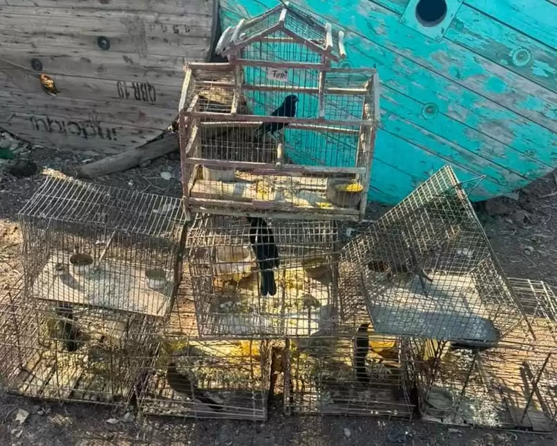 Secuestran fauna autóctona en cautiverio en Caucete