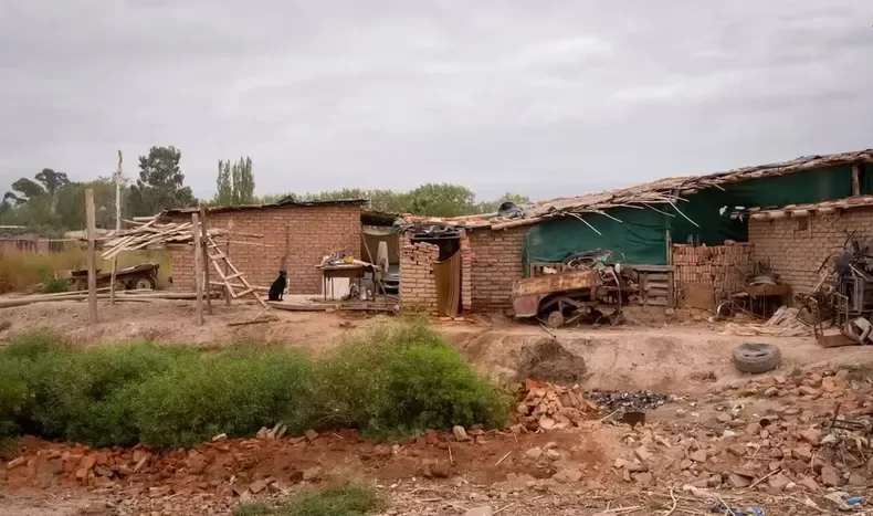 Destinarán más de $3 mil millones para asistencia social con insumos y equipamiento