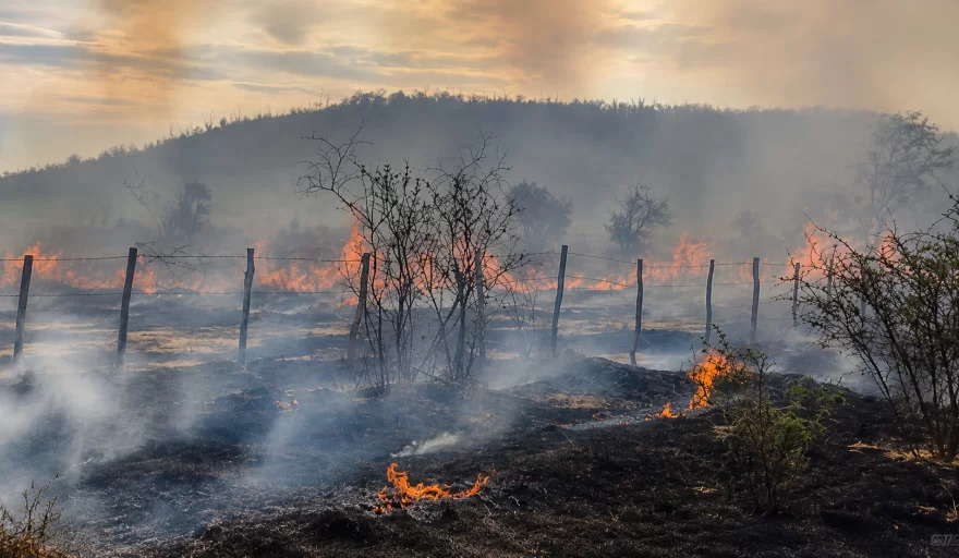 Detienen a tres personas sospechosas de originar un incendio en un campo en Jáchal