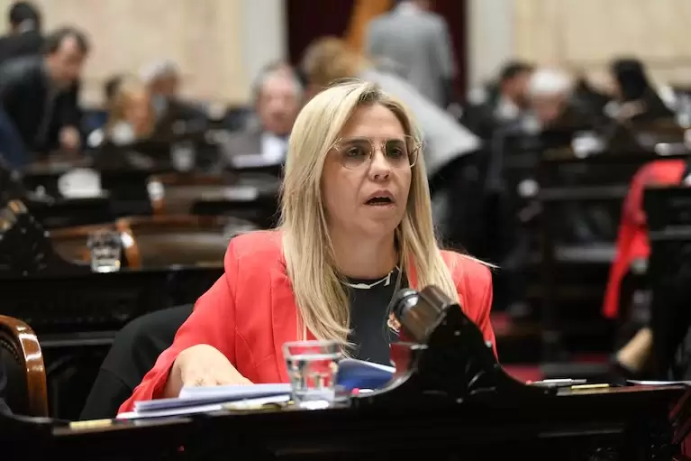Zona Cálida: Picón confirmó que solicitó incluir a pymes para el descuento del 50% en tarifas