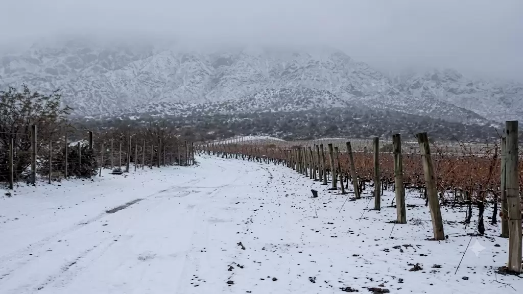Anticipan que un fuerte temporal cubrirá de nieve la cordillera