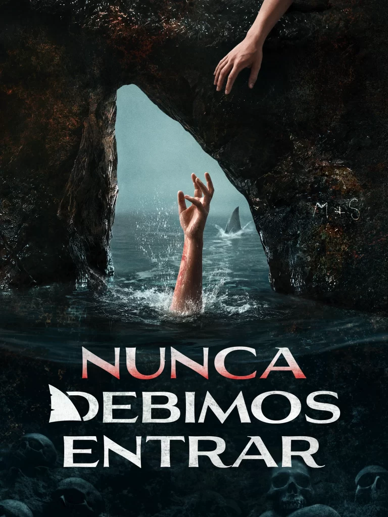 Nunca debimos entrar Poster