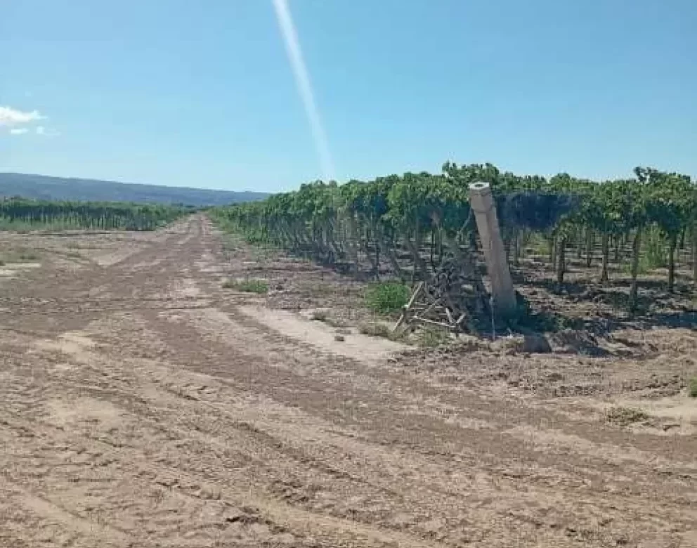 Un grupo de menores irrumpió en una finca, amenazó a un trabajador con un rifle y escapó con sus pertenencias