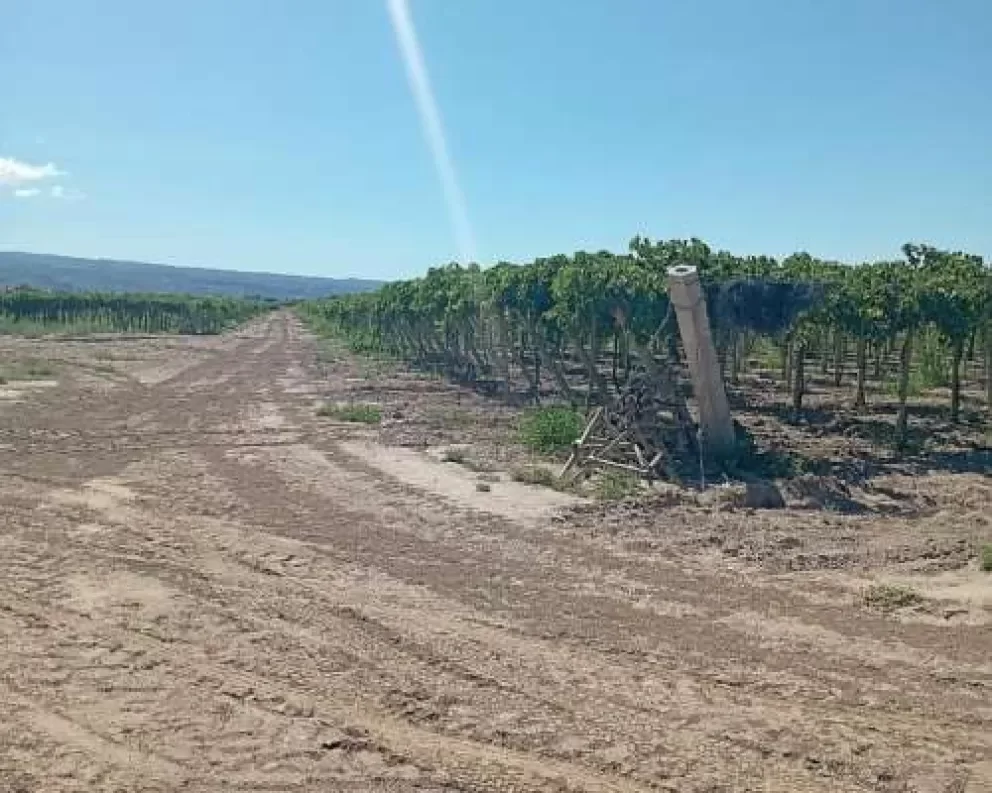 Un grupo de menores irrumpió en una finca, amenazó a un trabajador con un rifle y escapó con sus pertenencias