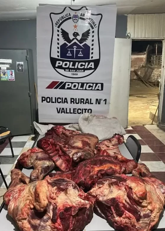 Secuestraron 80 kilos de carne trasladados sin frío ni documentación sanitaria
