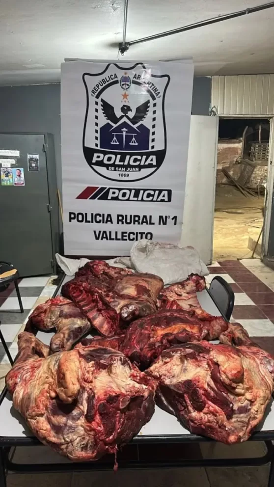 Secuestraron 80 kilos de carne trasladados sin frío ni documentación sanitaria